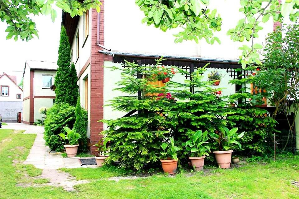 Pokoje Goscinne Asia Łeba Exterior foto